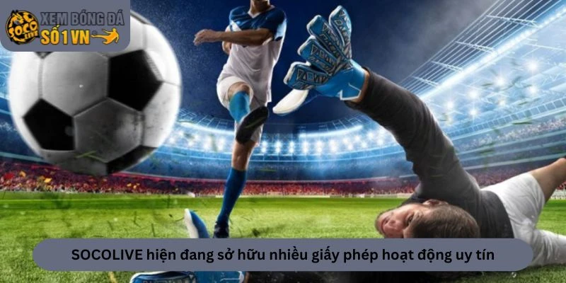 Giấy Phép Hoạt Động 3 Trang web hiện đang sở hữu nhiều giấy phép hoạt động uy tín